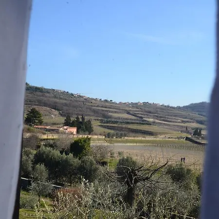 Bed & Breakfast La Grola San Martino Buon Albergo