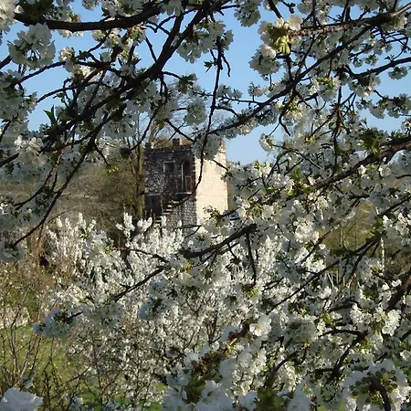 Bed & Breakfast La Grola *
