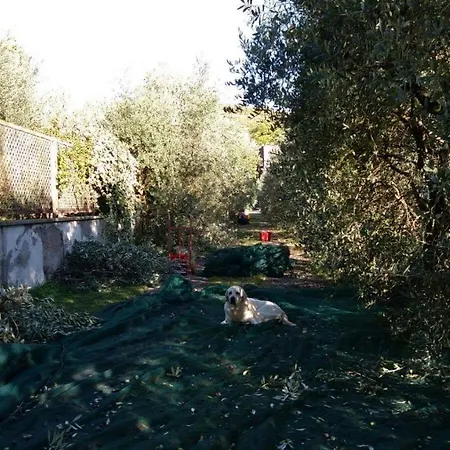 Bed and breakfast La Grola San Martino Buon Albergo
