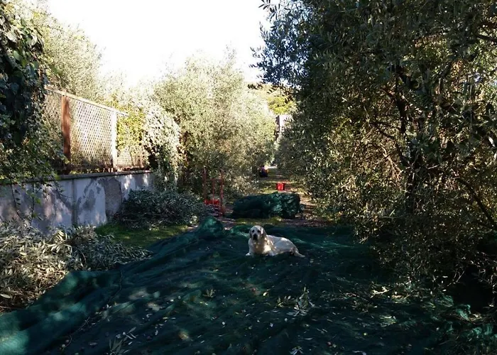 فندق مبيت وإفطار La Grola سان مارتينو بون ألبرغو